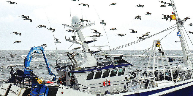 Intellian® i9P Intellian® i9P